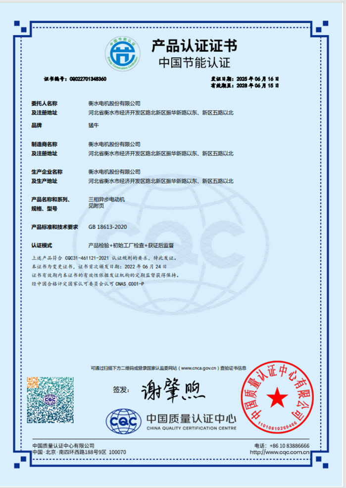 YE4節(jié)能認(rèn)證證書